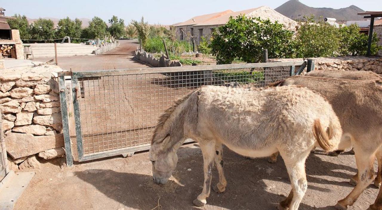 Agroturismo La Gayria Tiscamanita Exteriör bild